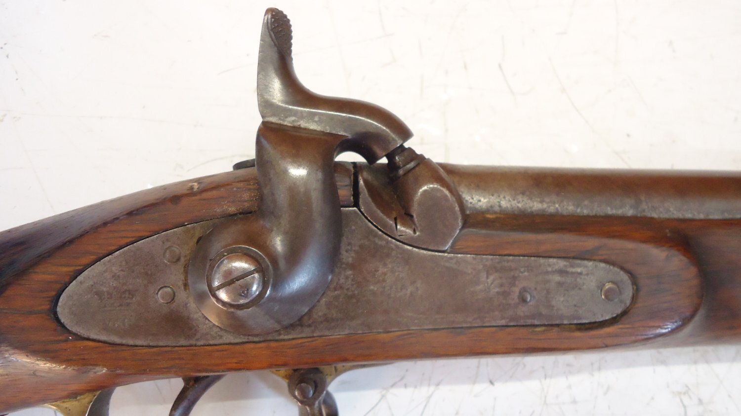 Enfield Musket Muzzleloader .577 Rifle - {CATEGORY} in 