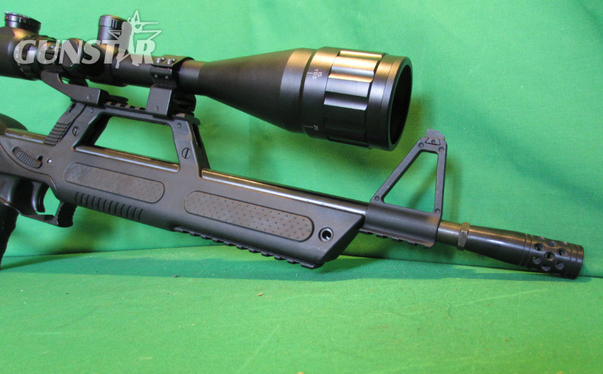 Walther G22 Semi-Auto .22 Rifle