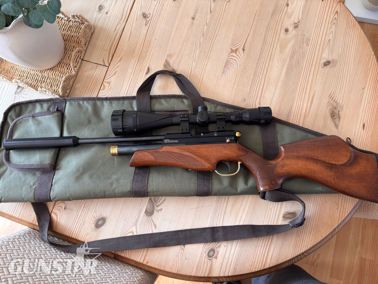 BSA Ultra .22