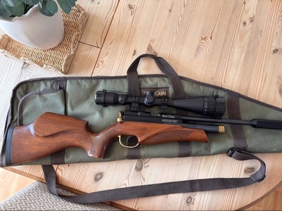 BSA Ultra .22