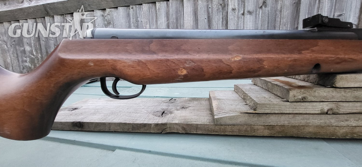 {CATEGORY} - Webley & Scott Stingray .22 in 