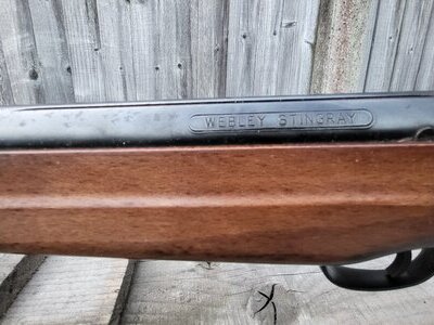 Webley & Scott Stingray .22
