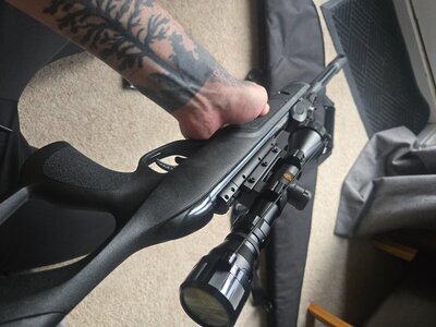 Gamo Roadster .22