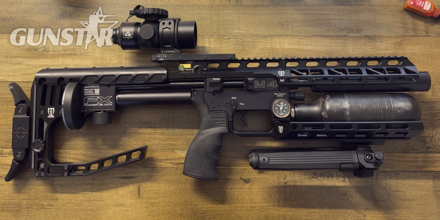 FX Airguns Impact .22 in 