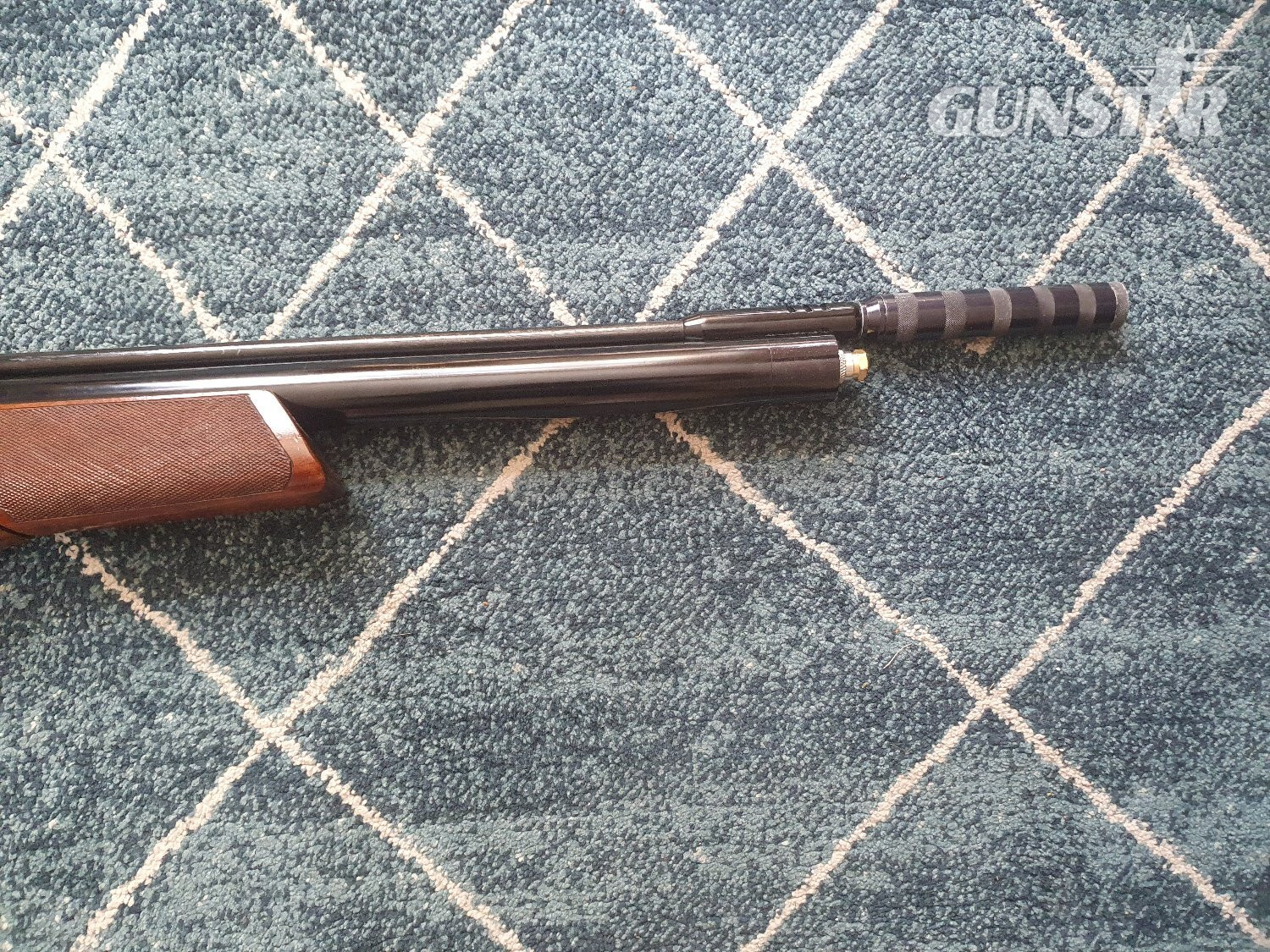 Ripley Rifles Ltd Predator  .177