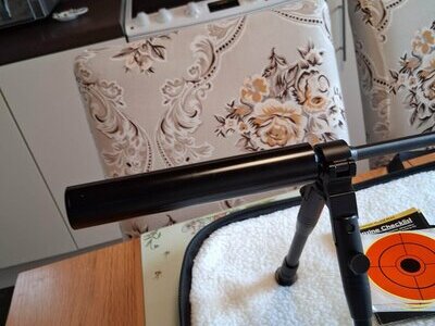Crosman 2250 XL Ratcatcher .22