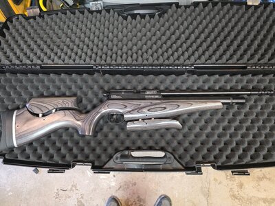 BSA Goldstar SE Regulated .177