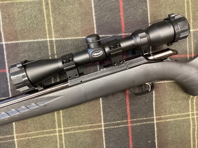 Ruger American Rifle Bolt Action .22 Long Rifle (.22 LR) Rifle