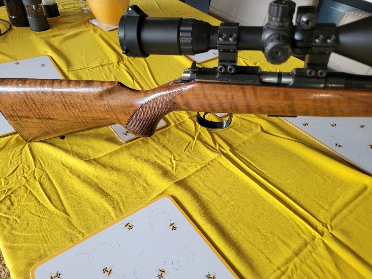 CZ Sport Bolt Action .22 Long Rifle (.22 LR) Rifle in 