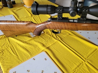 CZ Sport Bolt Action .22 Long Rifle (.22 LR) Rifle
