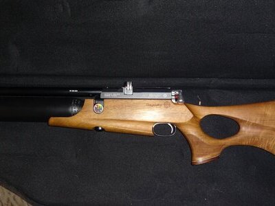 Daystate Air Ranger .22