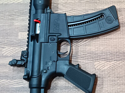 Smith & Wesson M&P Semi-Auto .22 Long Rifle (.22 LR) Rifle