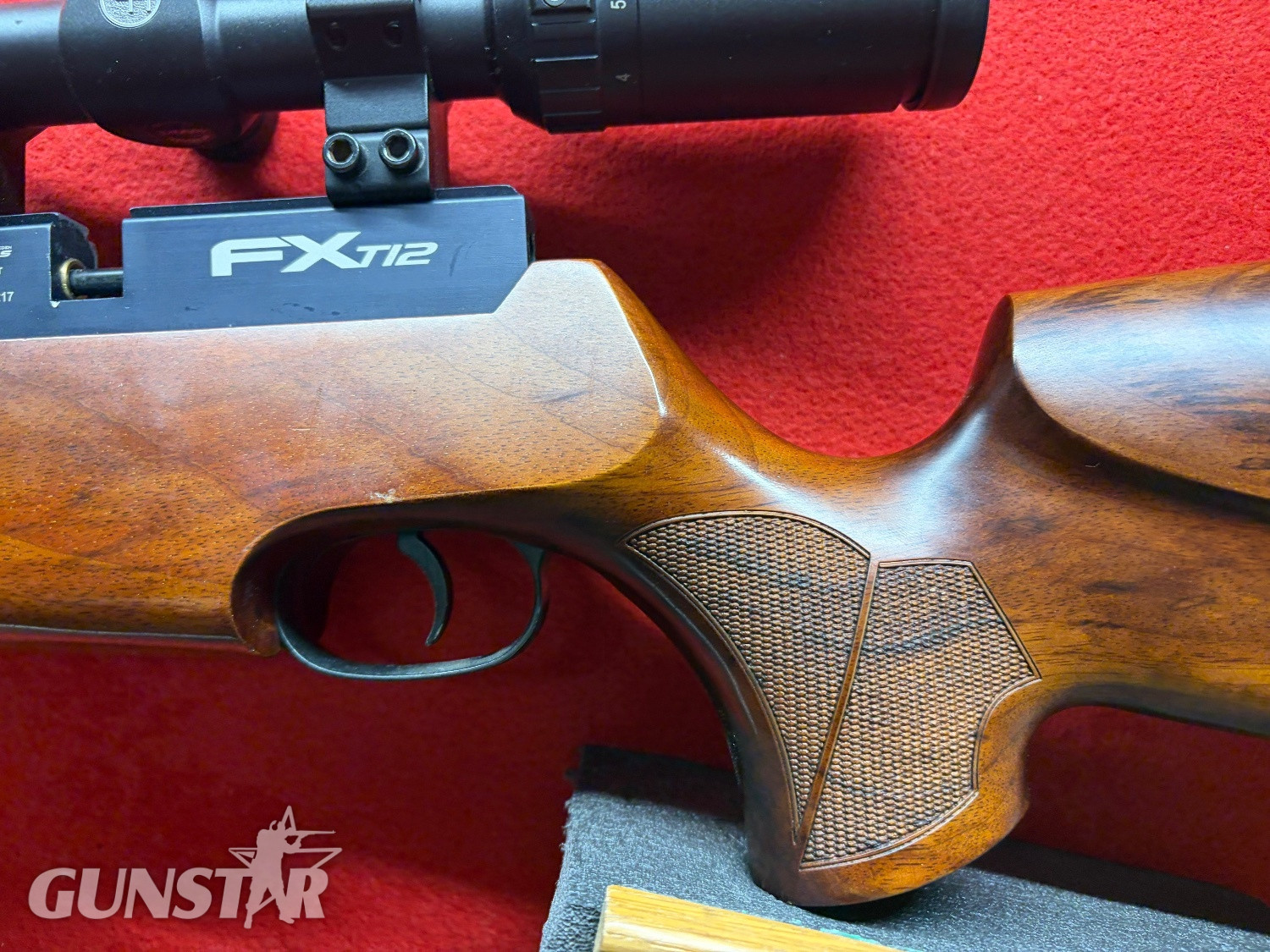 {CATEGORY} - FX Airguns T12 .22