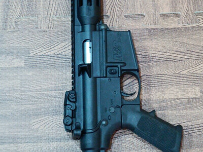 Smith & Wesson M&P Semi-Auto .22 Long Rifle (.22 LR) Rifle