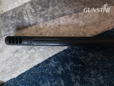 Gamo 220 .22