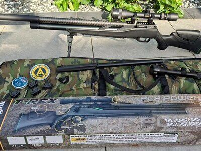 Remington T-Rex .22