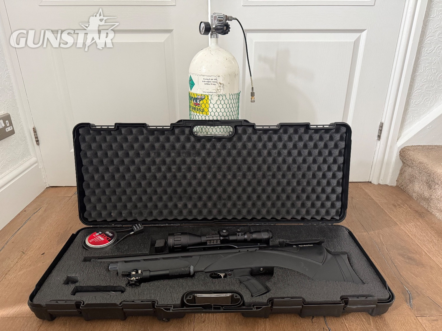 Daystate Renegade .22