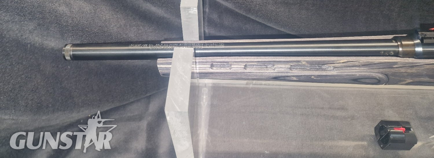 Savage Arms A22 Semi-Auto .22 Long Rifle (.22 LR) Rifle