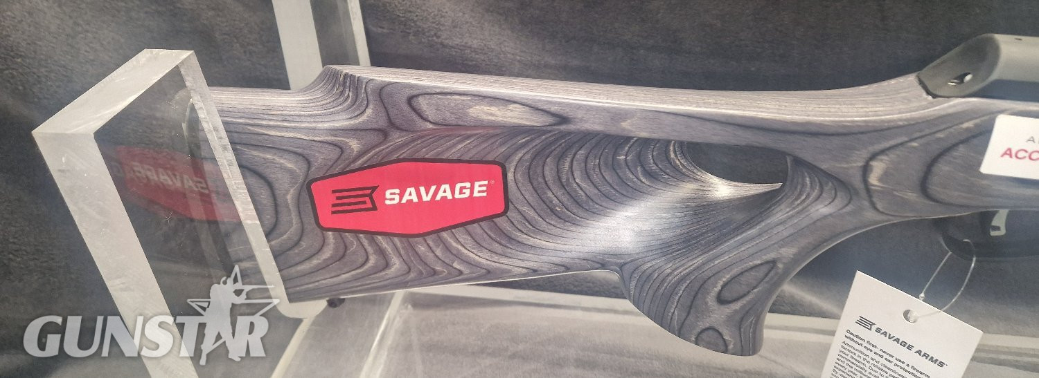 Savage Arms A22 Semi-Auto .22 Long Rifle (.22 LR) Rifle 