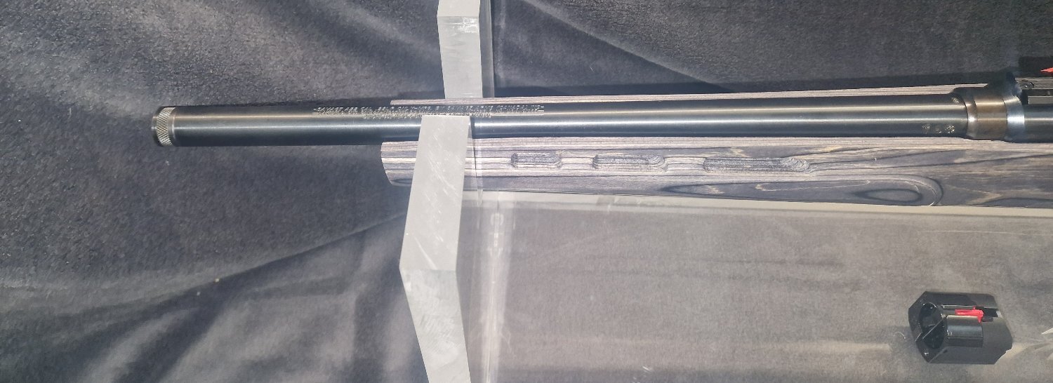 Savage Arms A22 Semi-Auto .22 Long Rifle (.22 LR) Rifle