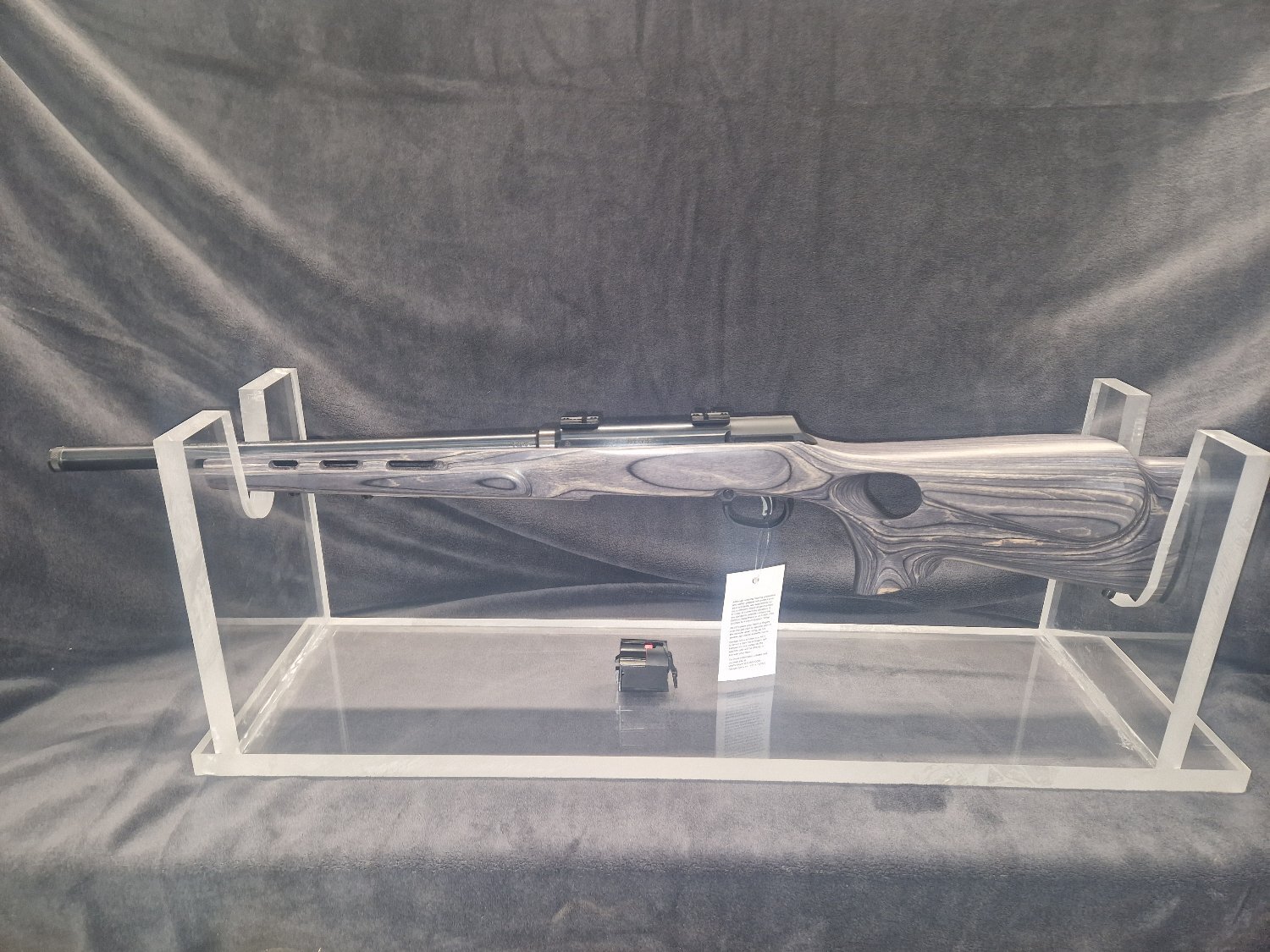  Savage Arms A22 Semi-Auto .22 Long Rifle (.22 LR) Rifle