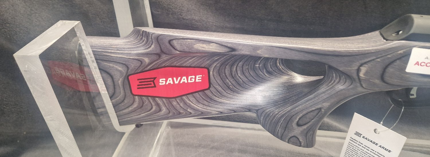 Savage Arms A22 Semi-Auto .22 Long Rifle (.22 LR) Rifle 