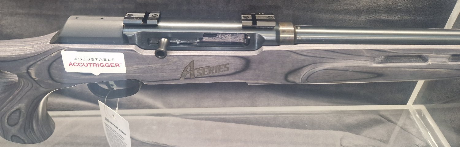 {CATEGORY} - Savage Arms A22 Semi-Auto .22 Long Rifle (.22 LR) Rifle in 