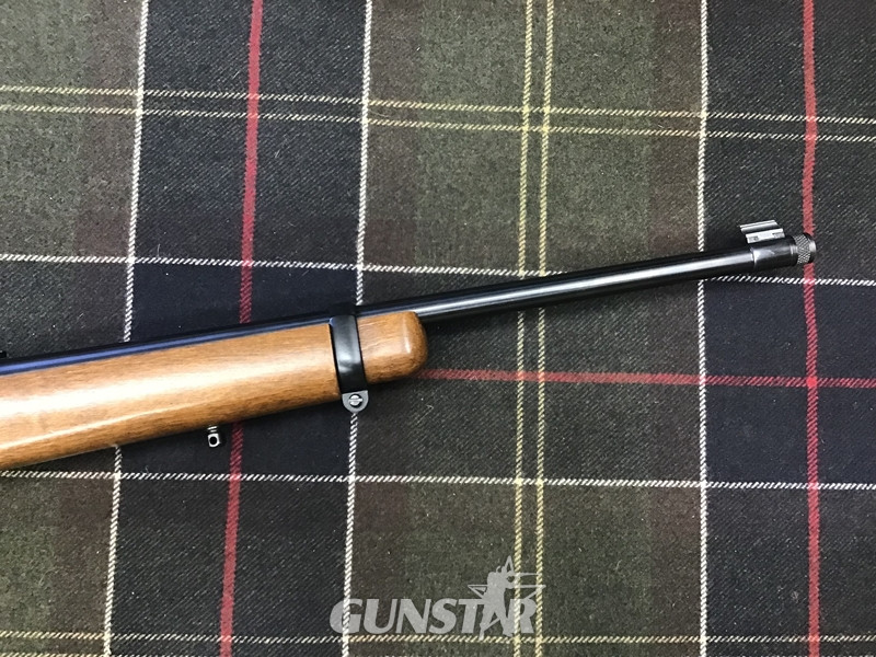  Ruger 10/22 Semi-Auto .22 Rifle