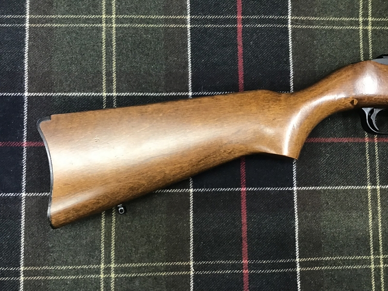 Ruger 10/22 Semi-Auto .22 Rifle