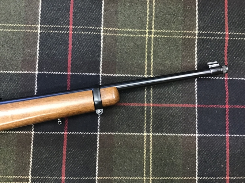  Ruger 10/22 Semi-Auto .22 Rifle