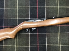 Ruger 10/22 Semi-Auto .22 Rifle