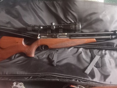 BSA Scorpion SE Multishot .22