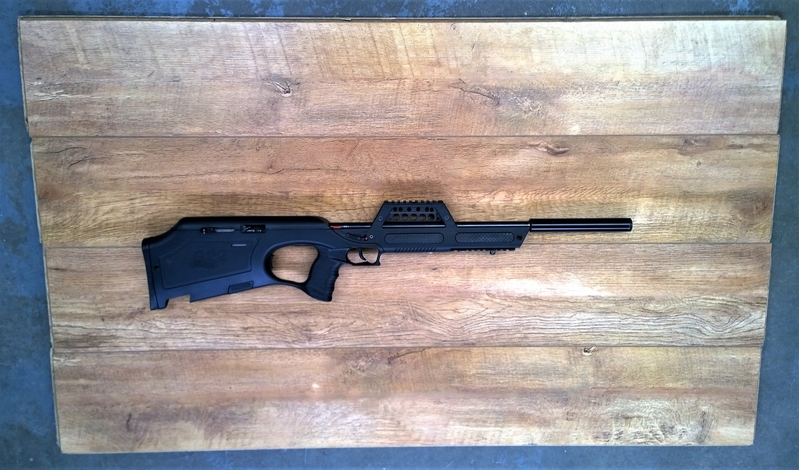 Walther G22 Semi-Auto .22 Rifle - {CATEGORY} in 