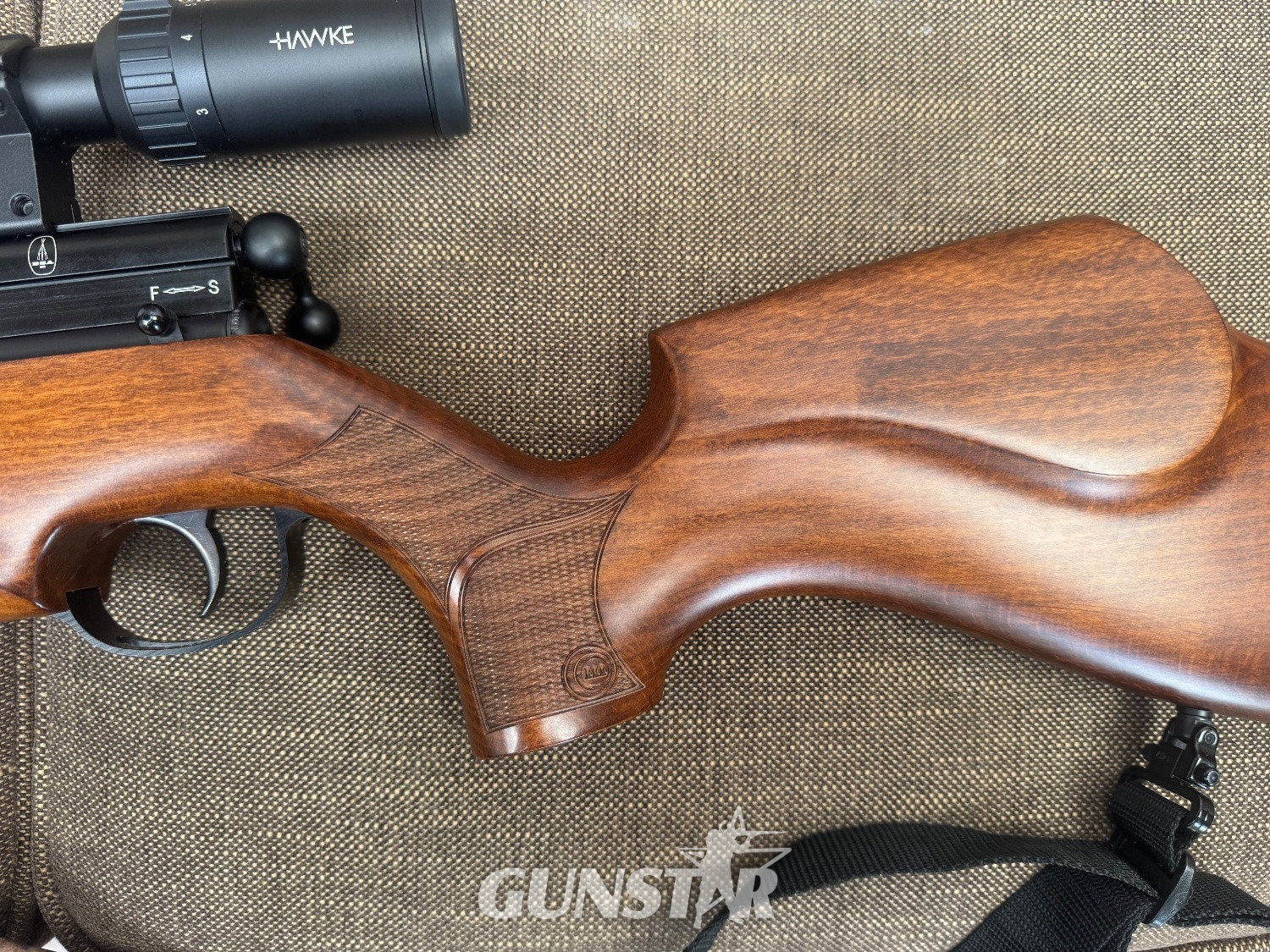  BSA Ultra .22