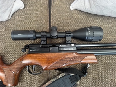 BSA Ultra .22