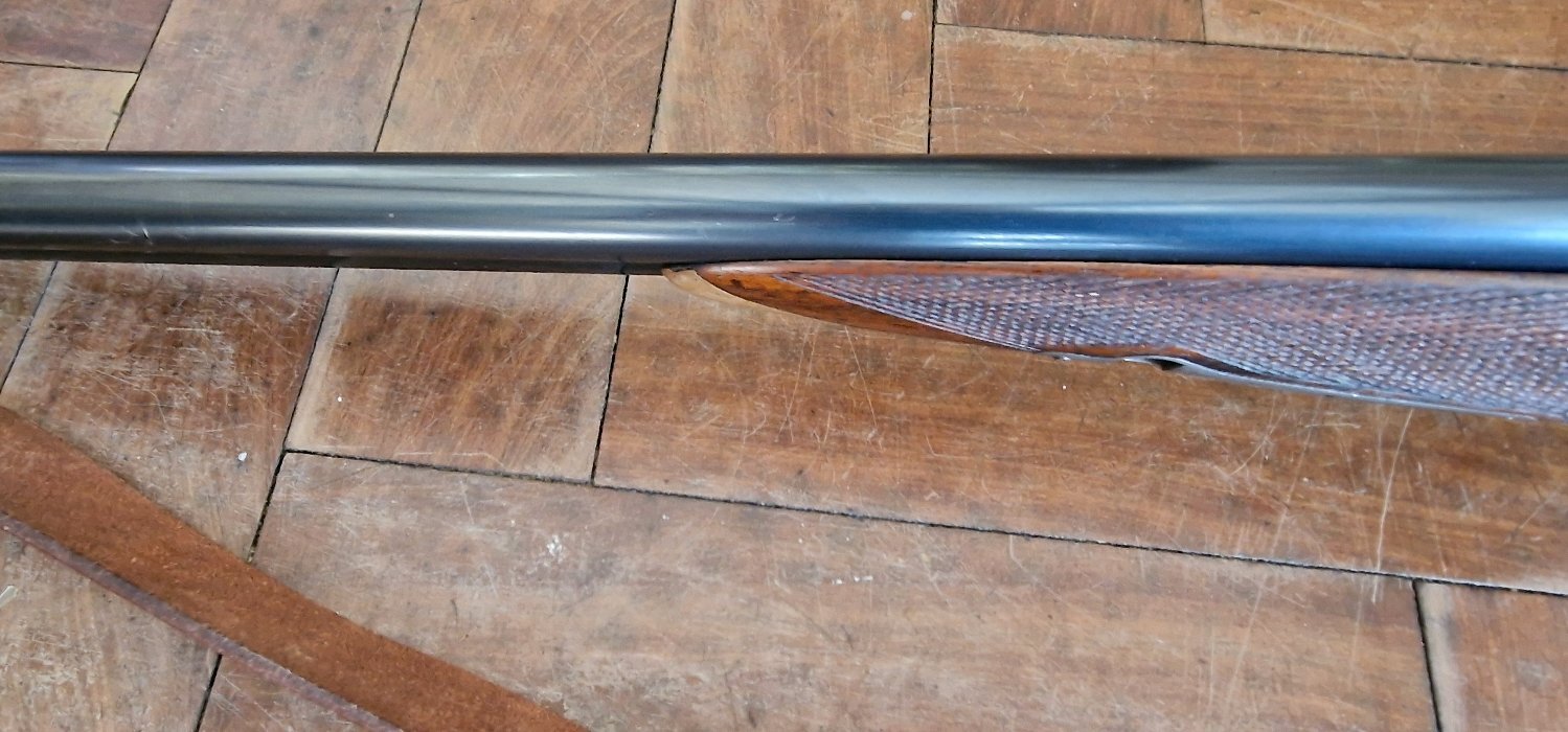 W.W. Greener FIELD Side By Side 12 Bore/gauge 