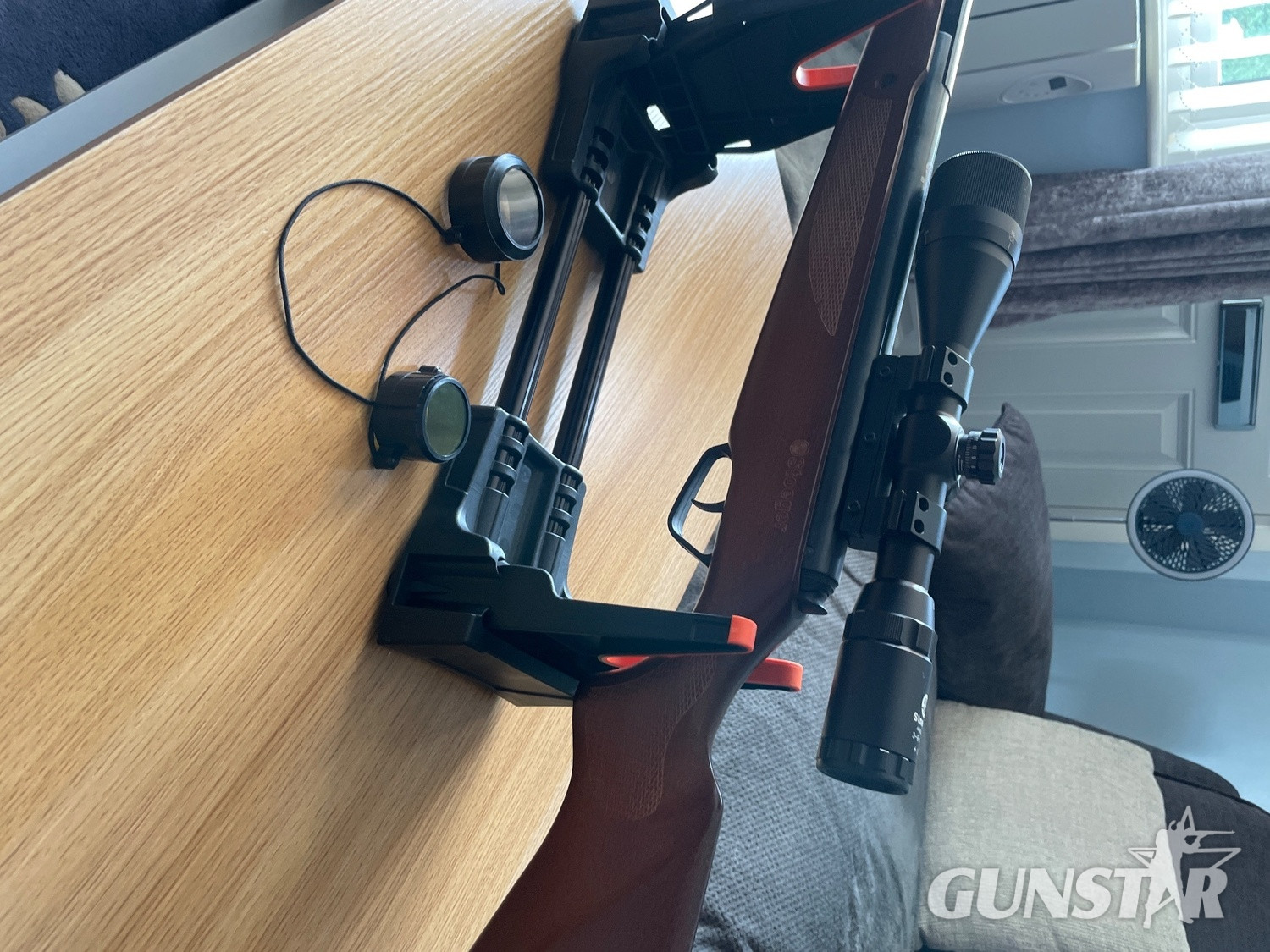 Stoeger X20 S2 .22