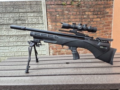 Daystate Pulsar .177
