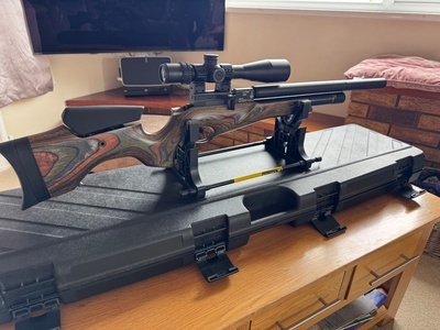 BSA Ultra CLX Pro Wilderness  .22