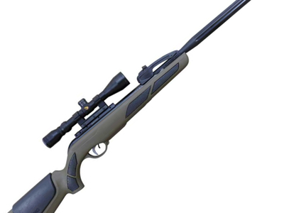 Gamo Varmint Swarm Barricade .22
