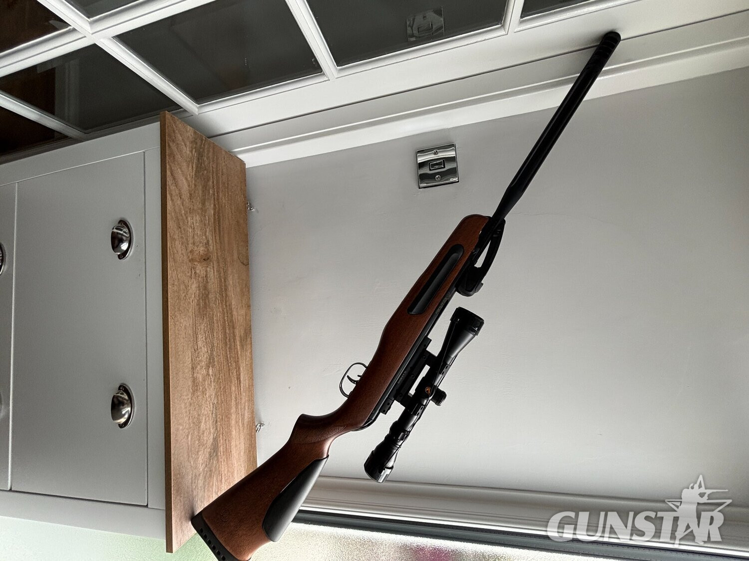  Gamo Maxxim elite  .22