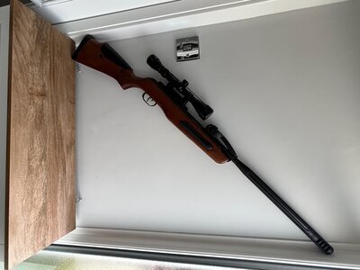 Gamo Maxxim elite  .22