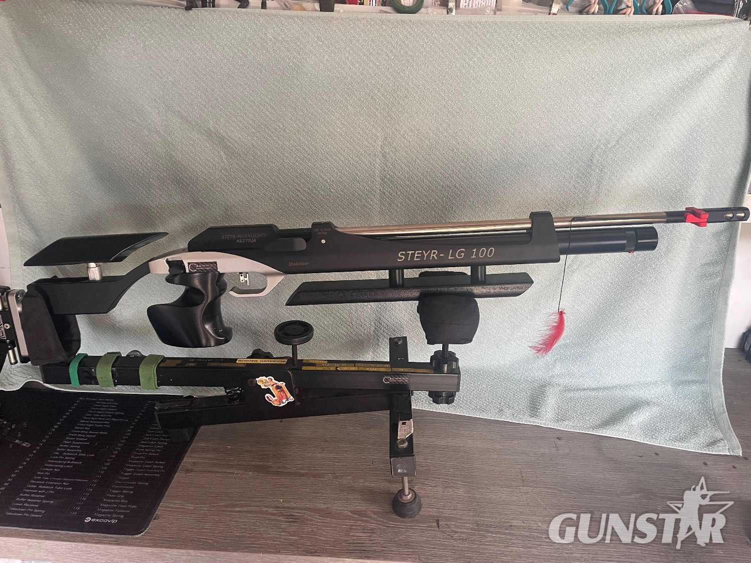 Steyr LG 100 .177