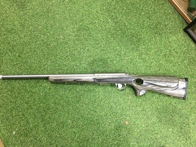 Marlin 917vs Bolt Action .17 Hornady Magnum Rimfire (.17 HMR) Rifle