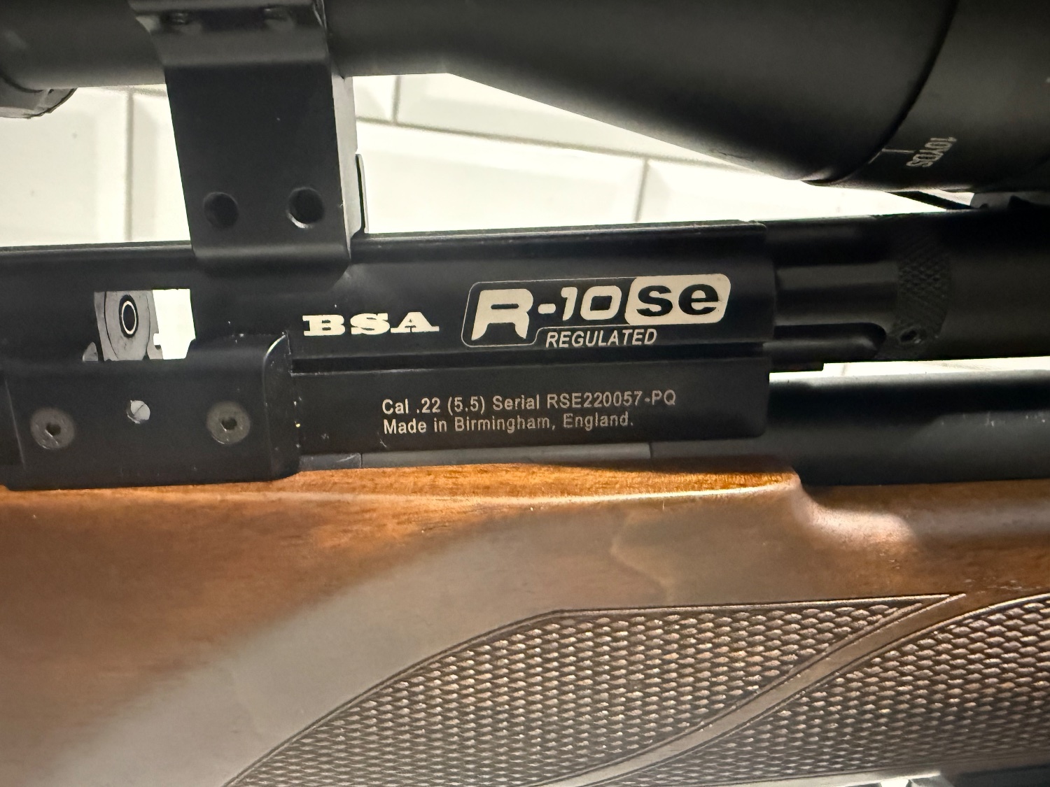 BSA R10 SE .22 in 