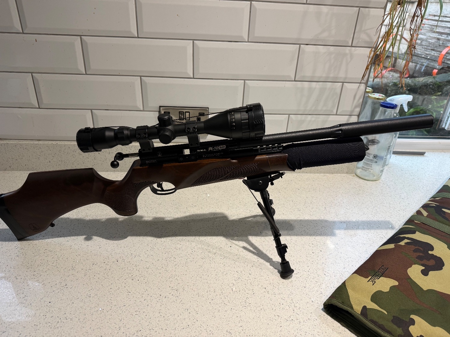 BSA R10 SE .22