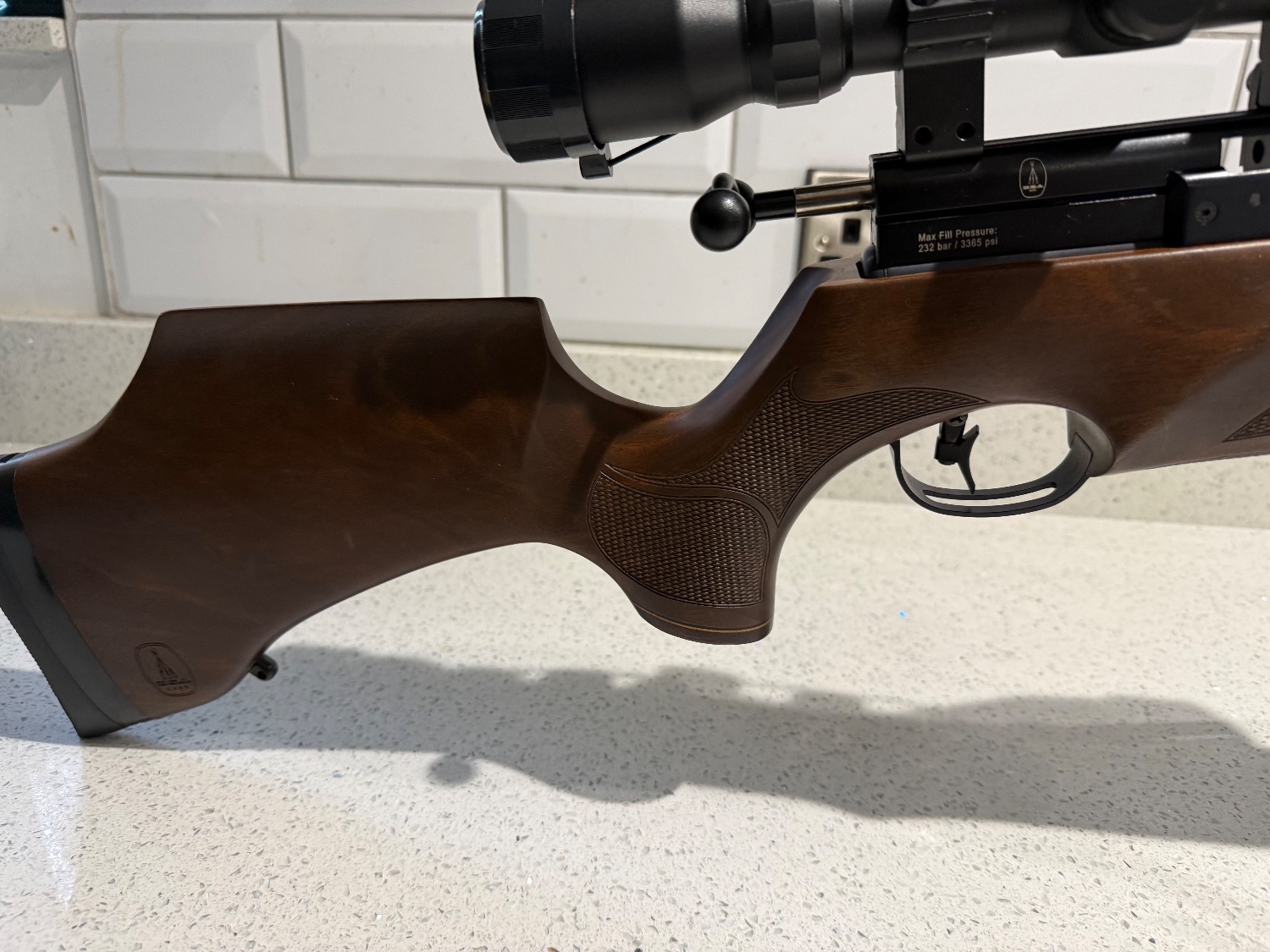  BSA R10 SE .22
