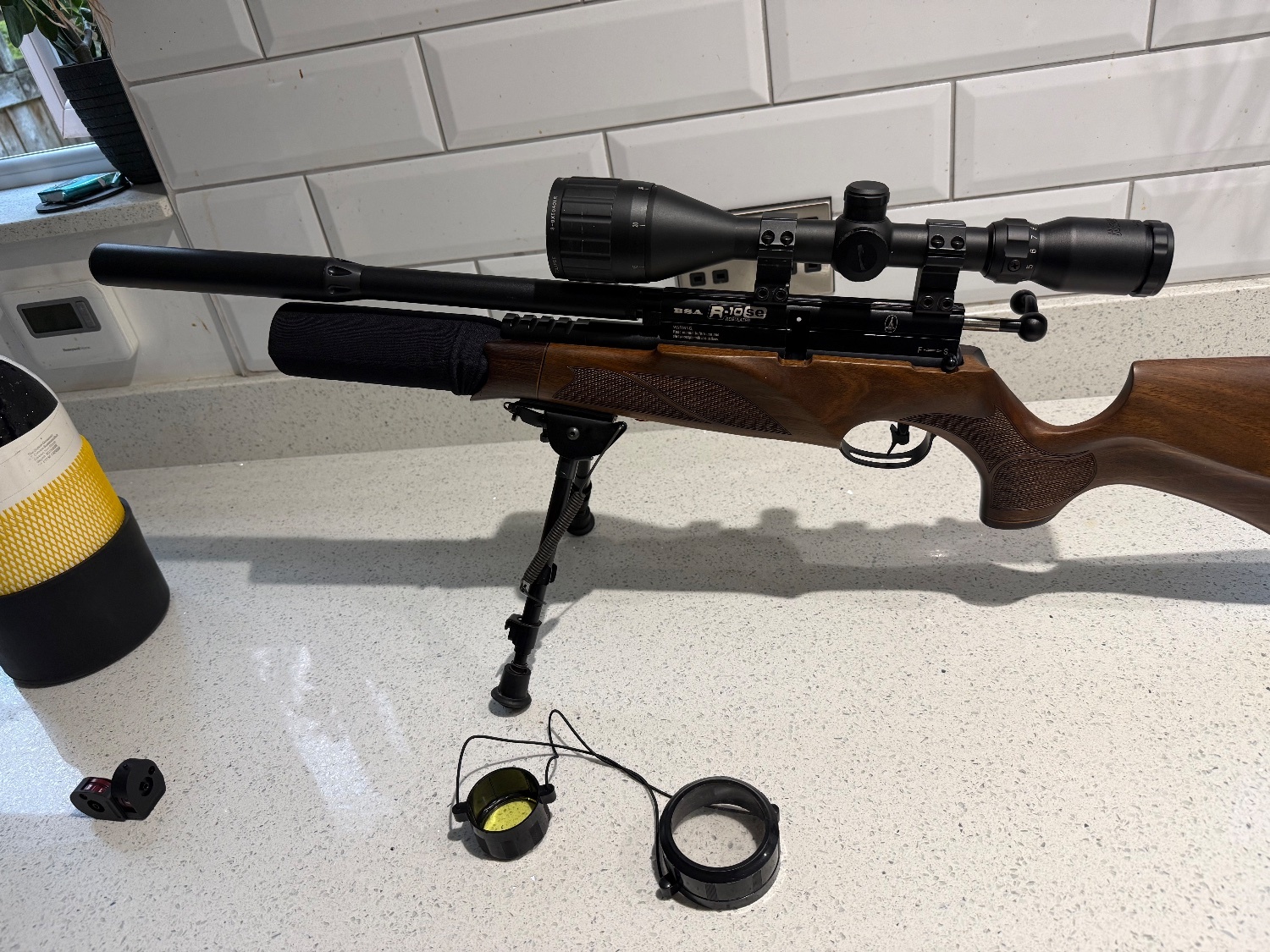 {CATEGORY} - BSA R10 SE .22 in 