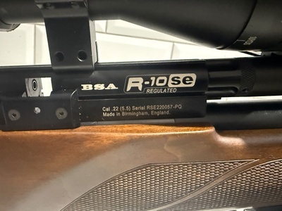 BSA R10 SE .22
