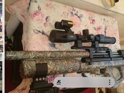 FX Airguns Fx wildcat  .22